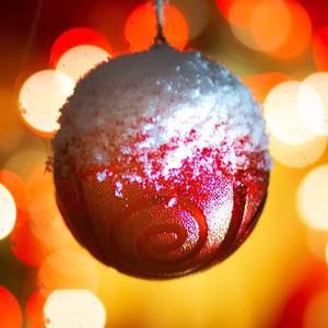 Meet your Posher, Steve